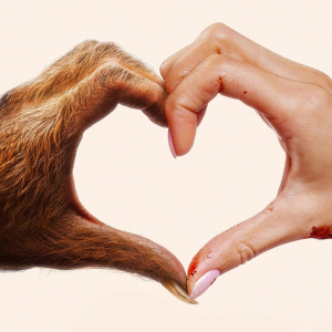 images-yourmonster- (7)