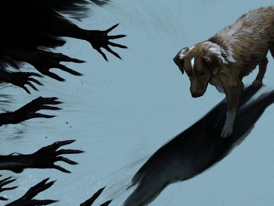 Good Boy (2025)